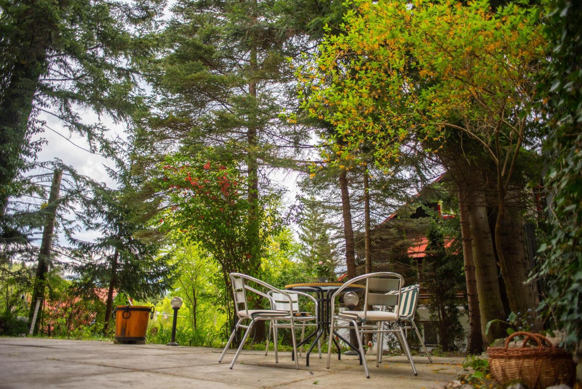 Villa Sara In Sinaia Near Peles & Gondola Exterior foto